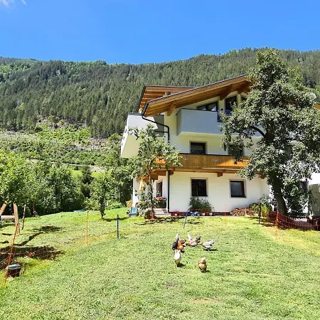 Alpen Michael Mayrhofen