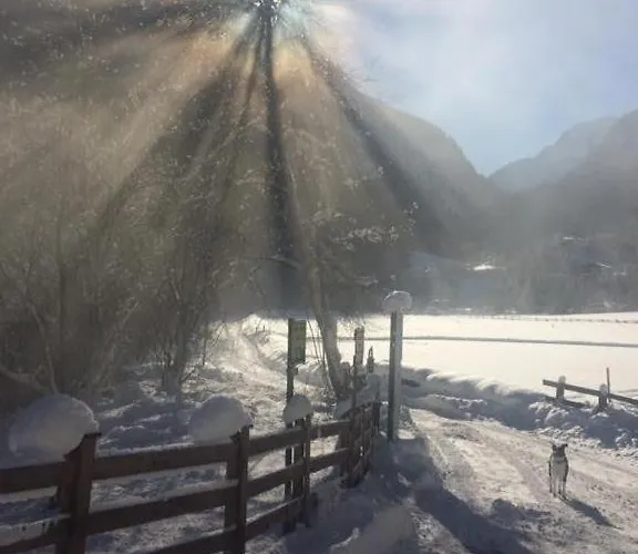 Alpen Michael * Mayrhofen