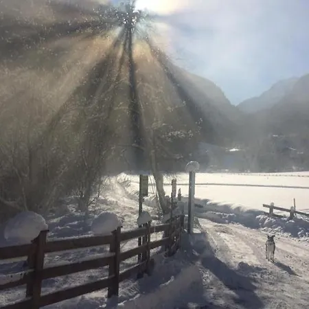 Alpen Michael * مايرهوفن